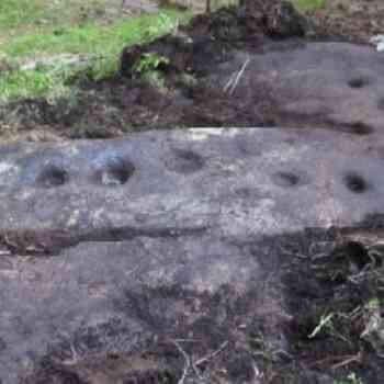 Click para ampliar. Pulsa en el nombre para ver la ficha. Monte do Boi-4